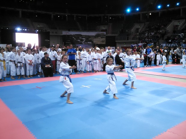 Mistrzostwa Swiata w karate